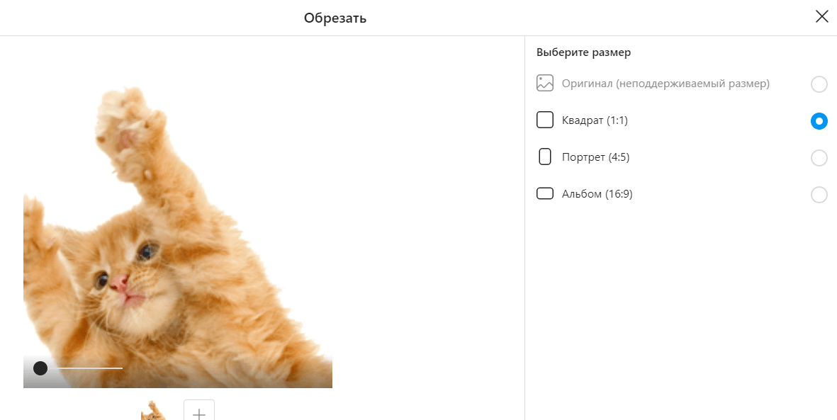 Instagram разрешил выкладывать посты с компьютера